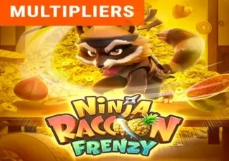 Ninja Raccoon Frenzy